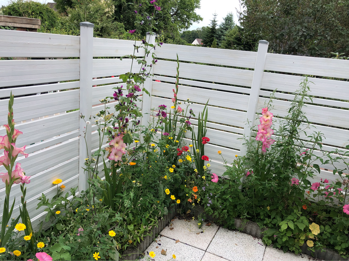 Blumen2