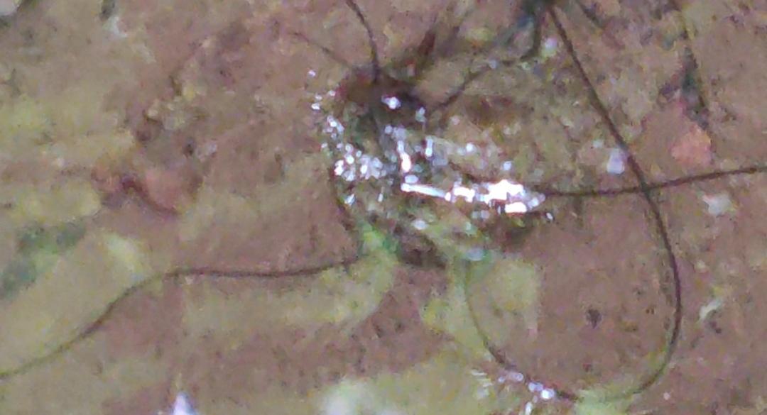 IMG 20240525 100831