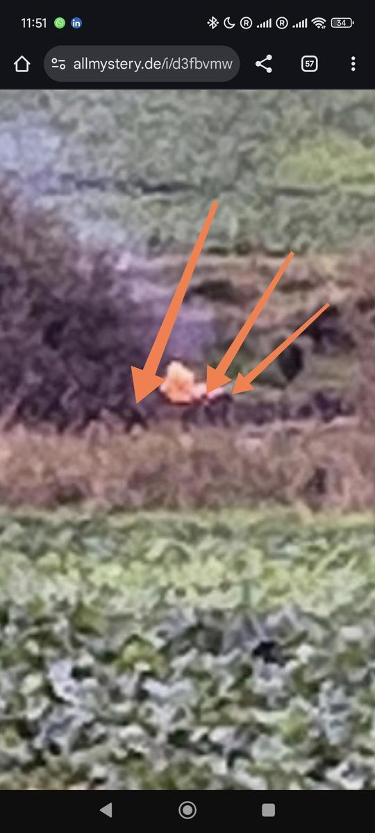 Screenshot 2025-11-05-23-51-01-555 com.a