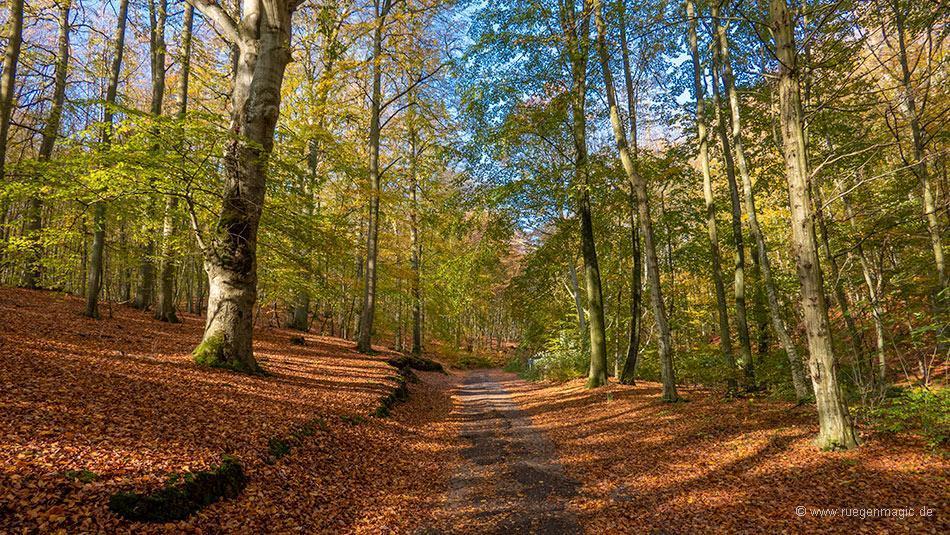 herbstliche-granitz