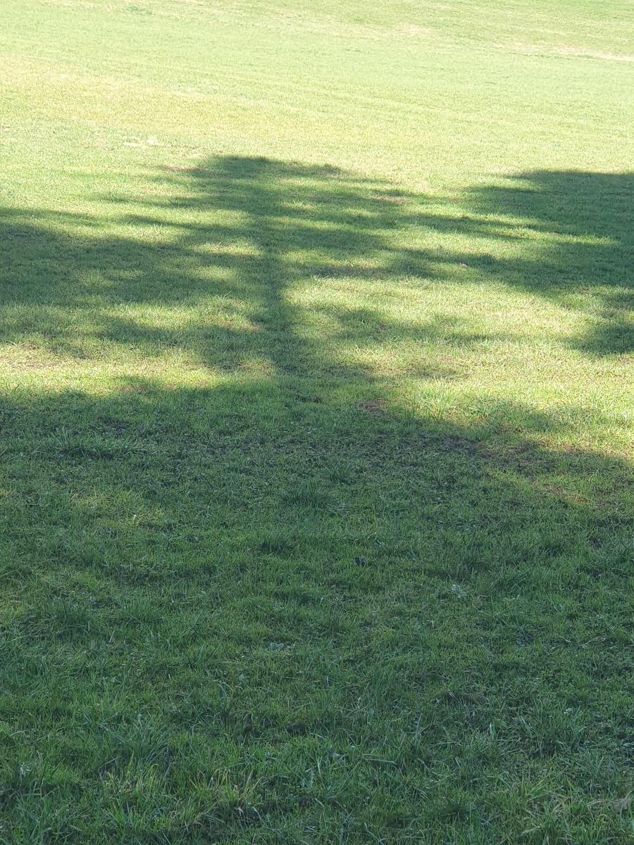 17733977943224111998651991594124