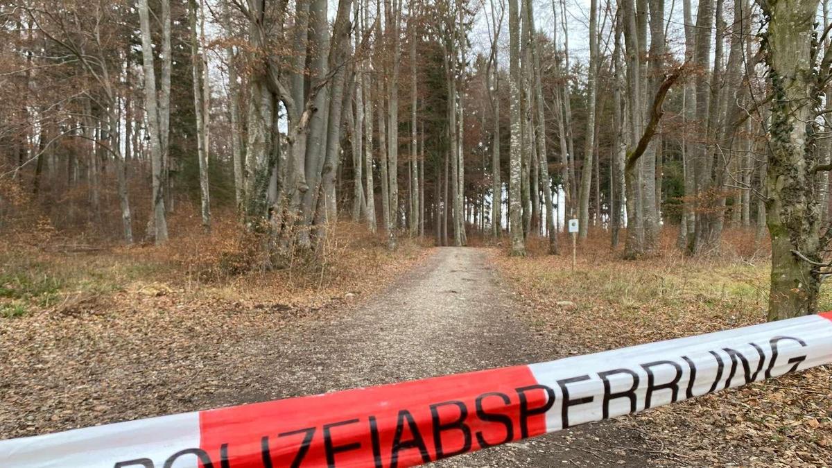 27887754-berg-wald-polizeiabsperrung-2eM