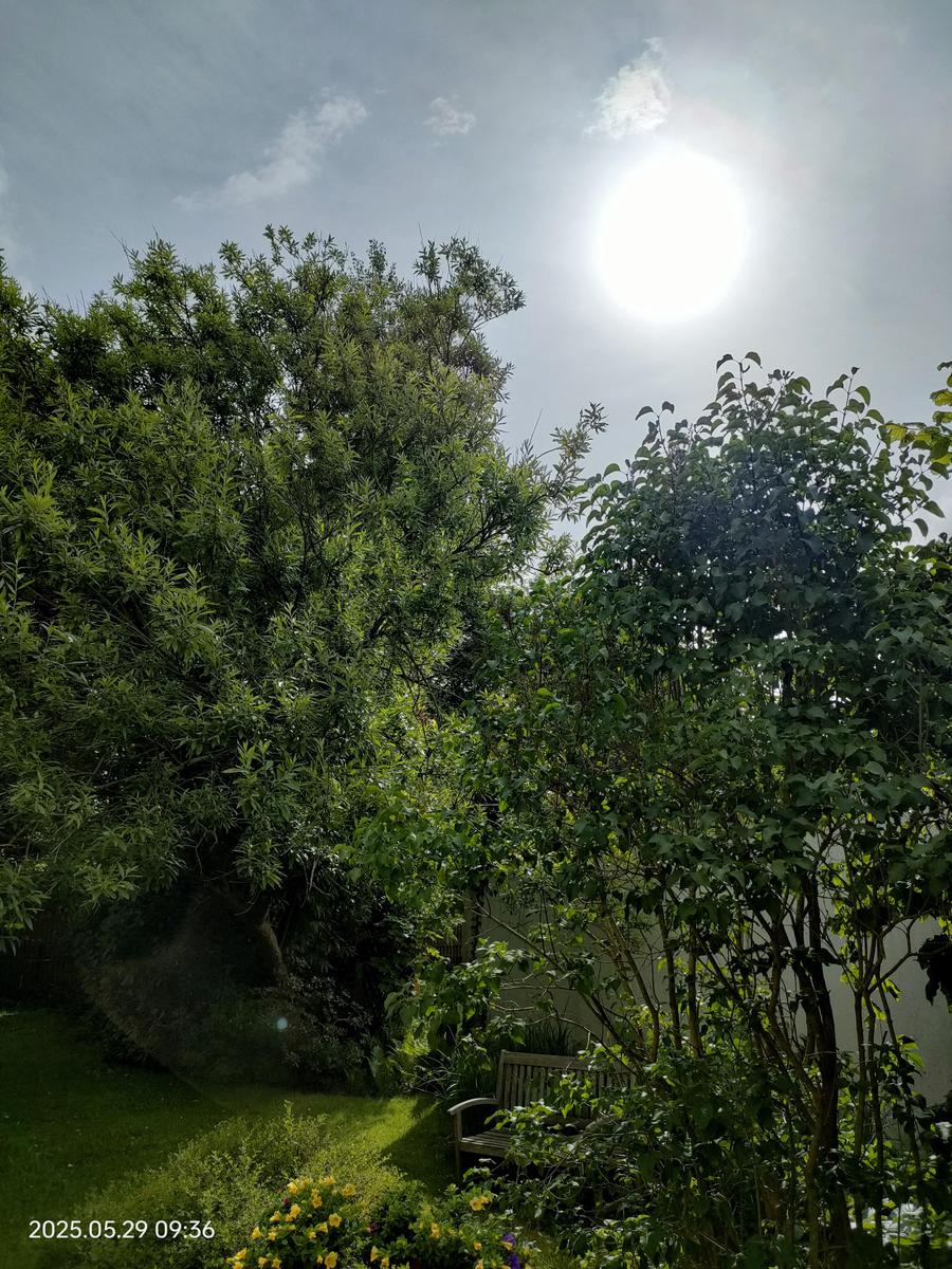 IMG20250529093617