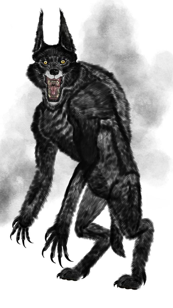 the dogman eyewitness drawing