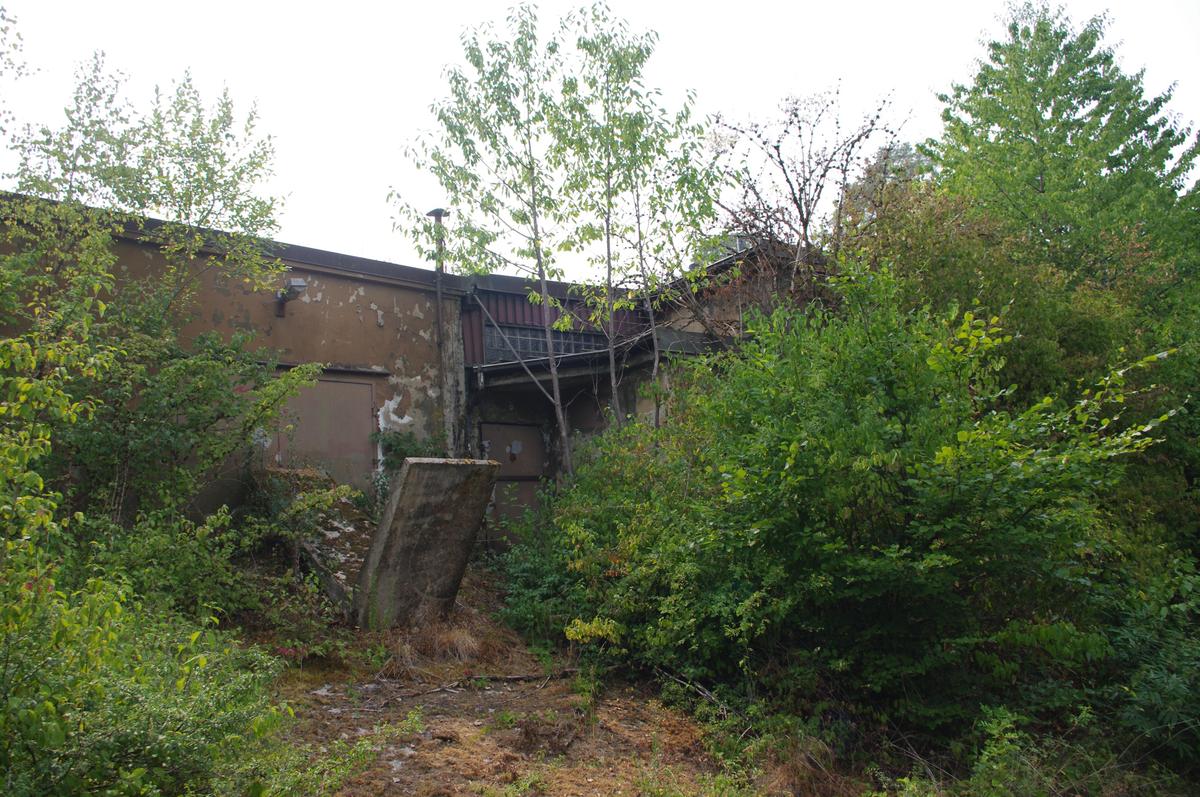 IMGP4180