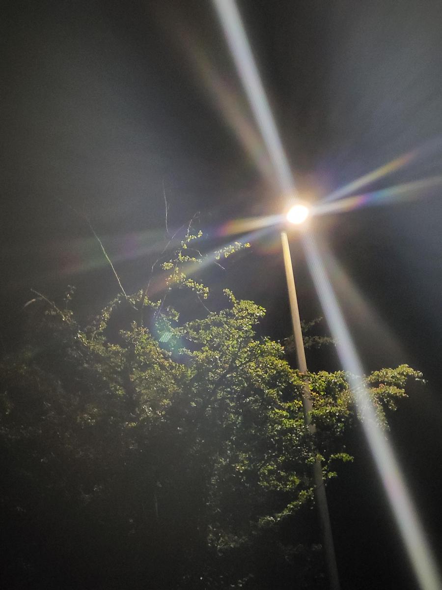 20250811 020107