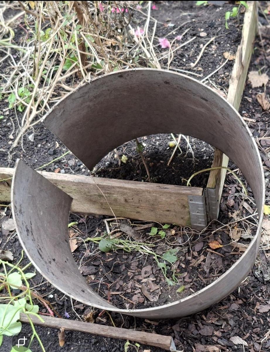 Screenshot 20251025 201809 Gallery