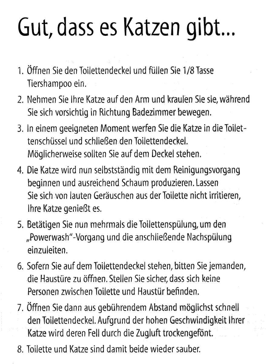 Katze 12