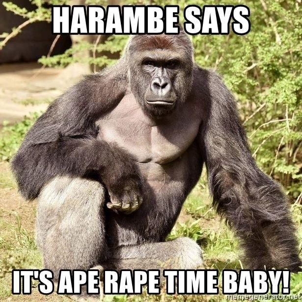 harambe-says-its-ape-rape-time-baby