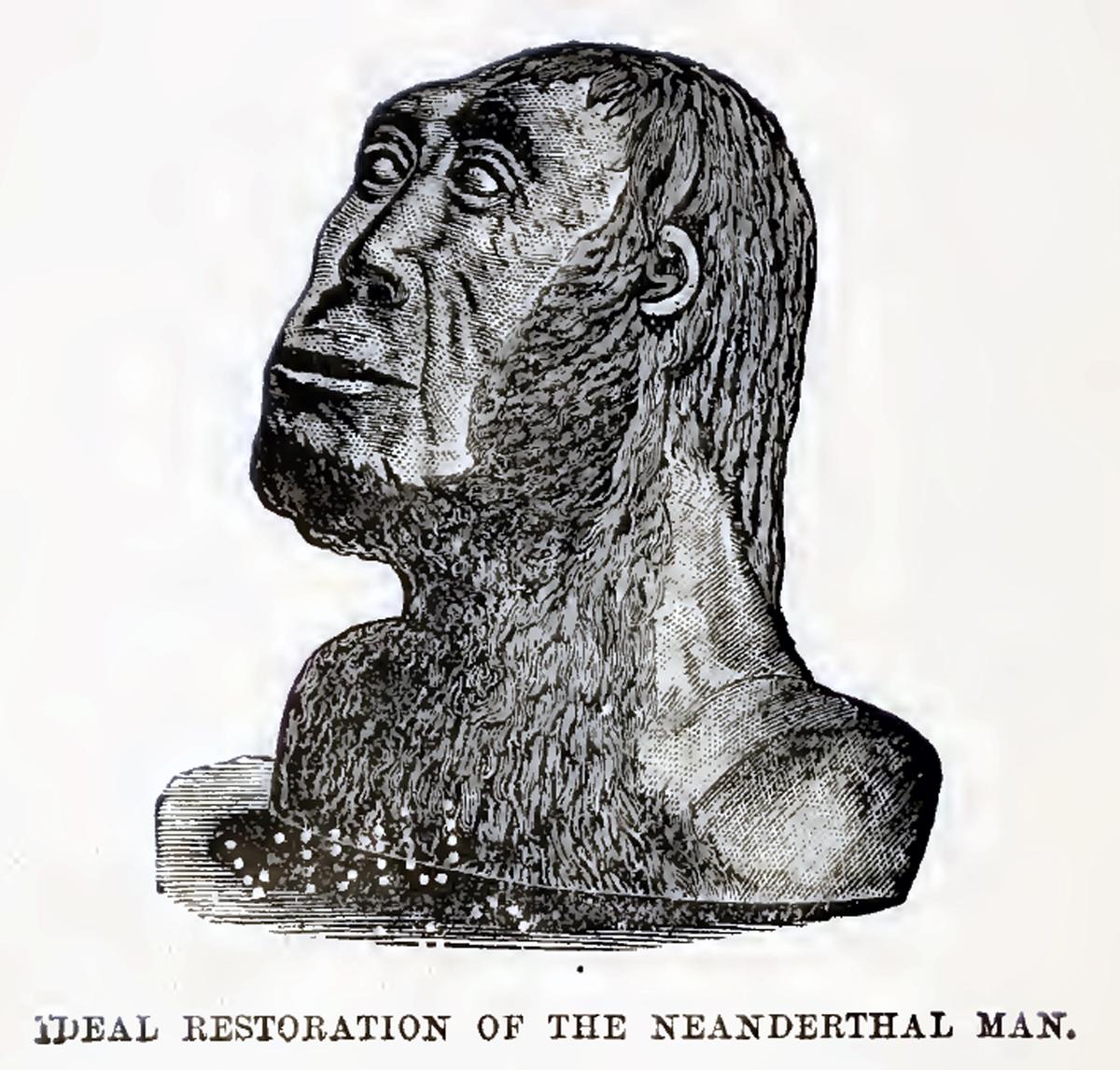 ideal-restoration-of-the-neanderthal-man