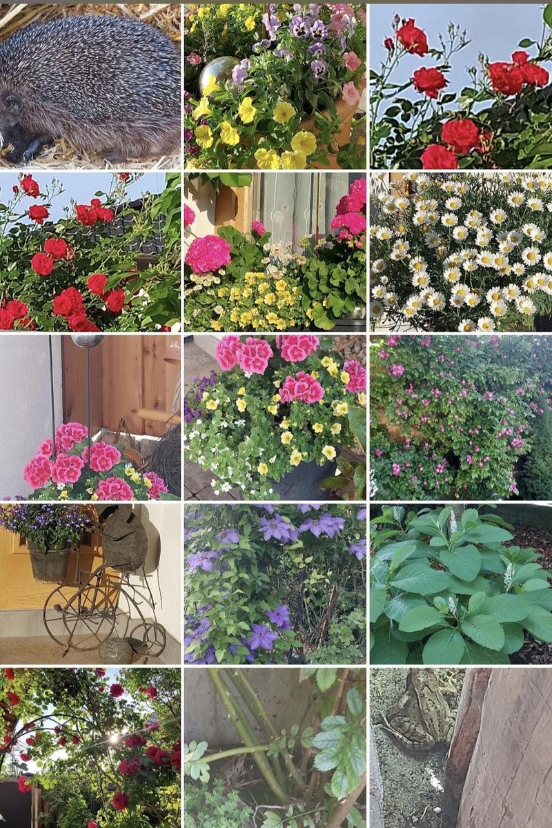 Screenshot 20251212 183603 Photos