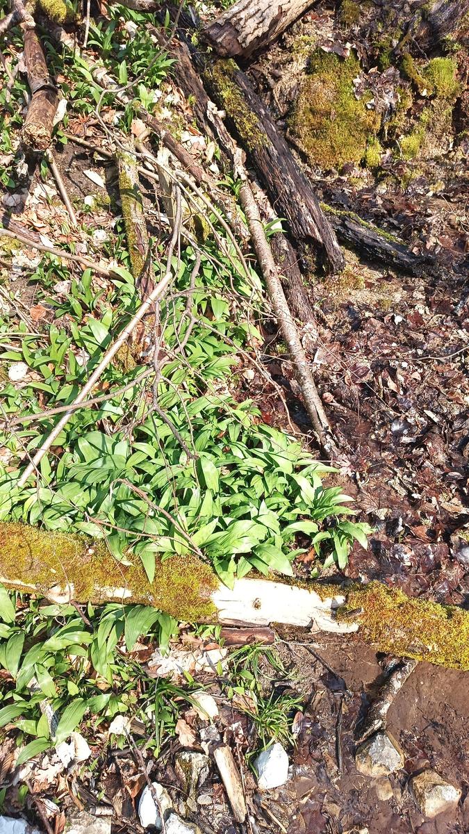 threema-20260318-123823-null