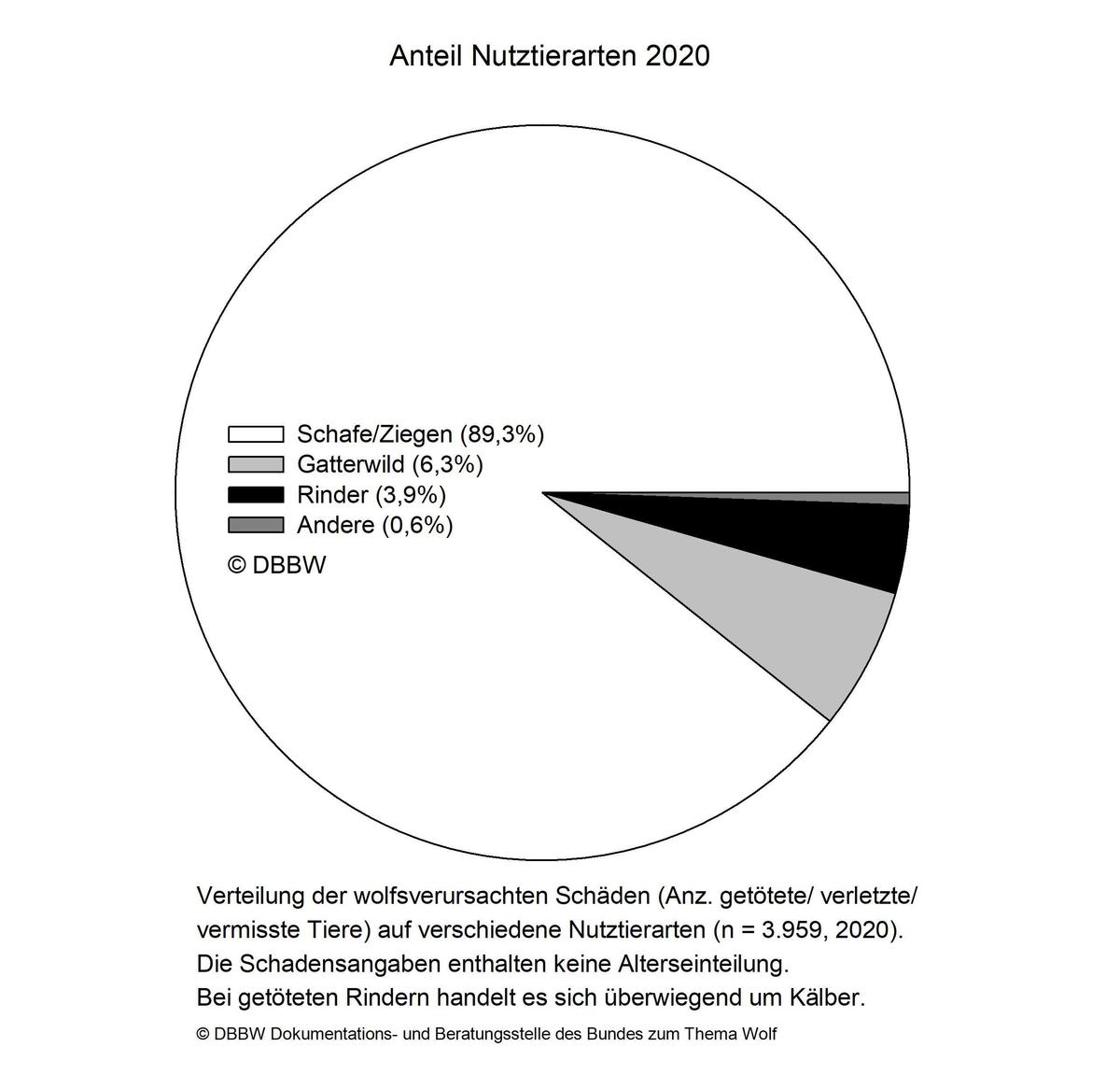 SchaedenTierart2020 Torte