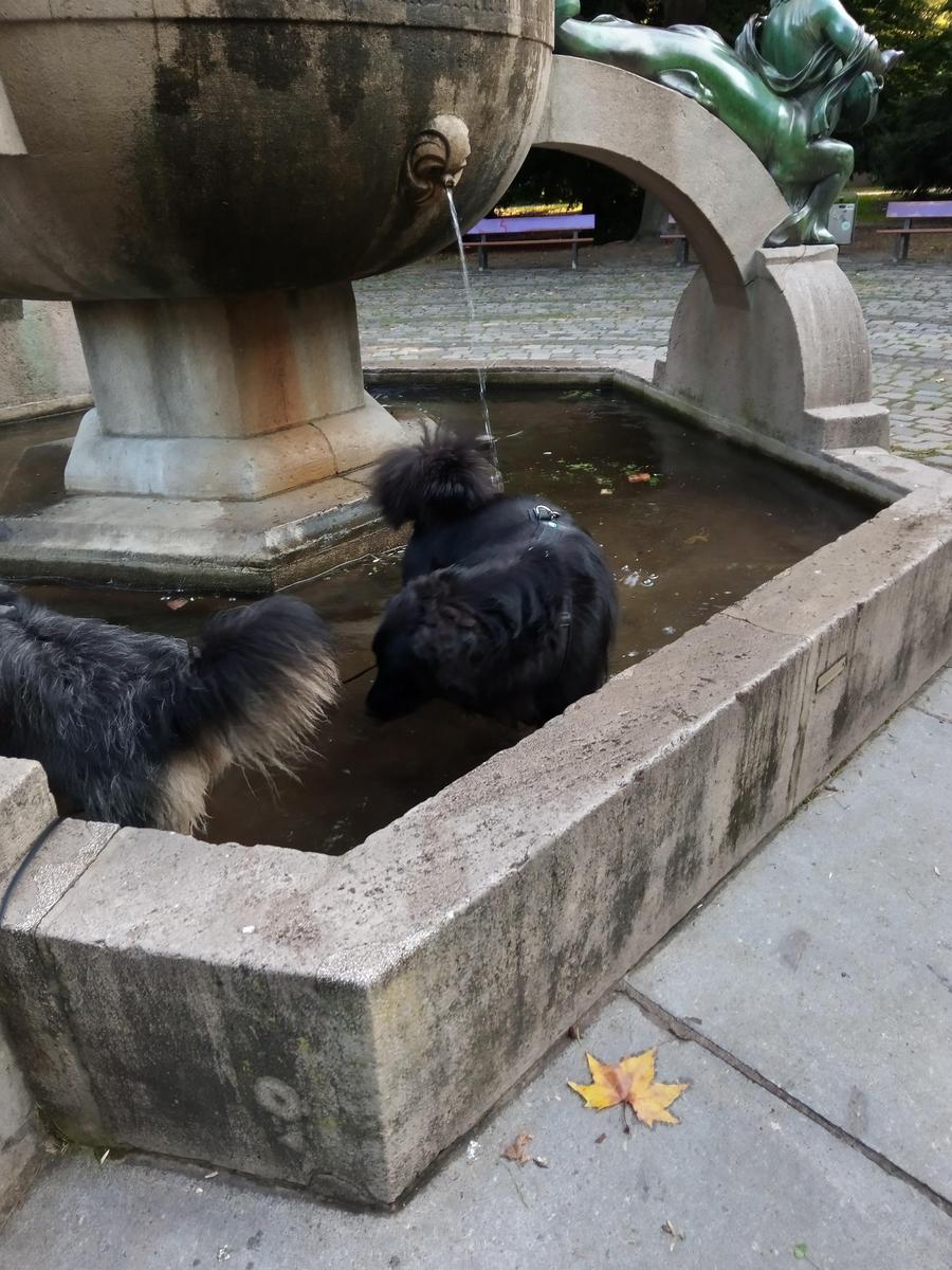 IMG 20210910 090709 3