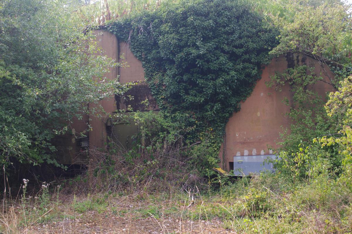 IMGP4193