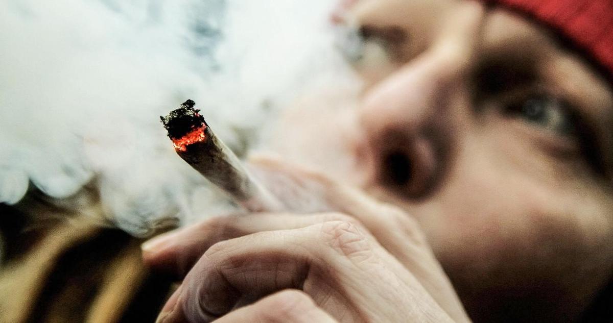 cannabis-legalisierung-hanf-marihuana-ha