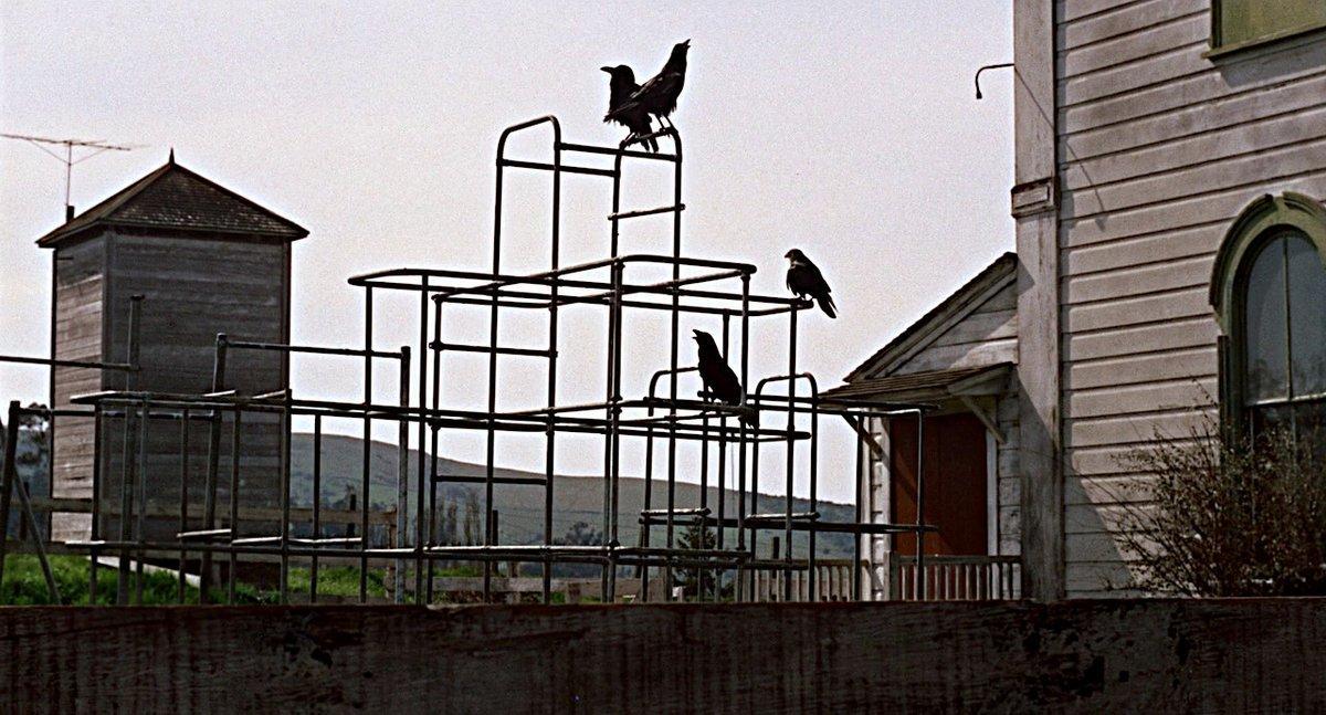 The Birds 1963 - Copy