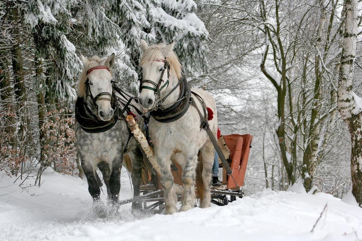 sleigh-ride-549727 1280