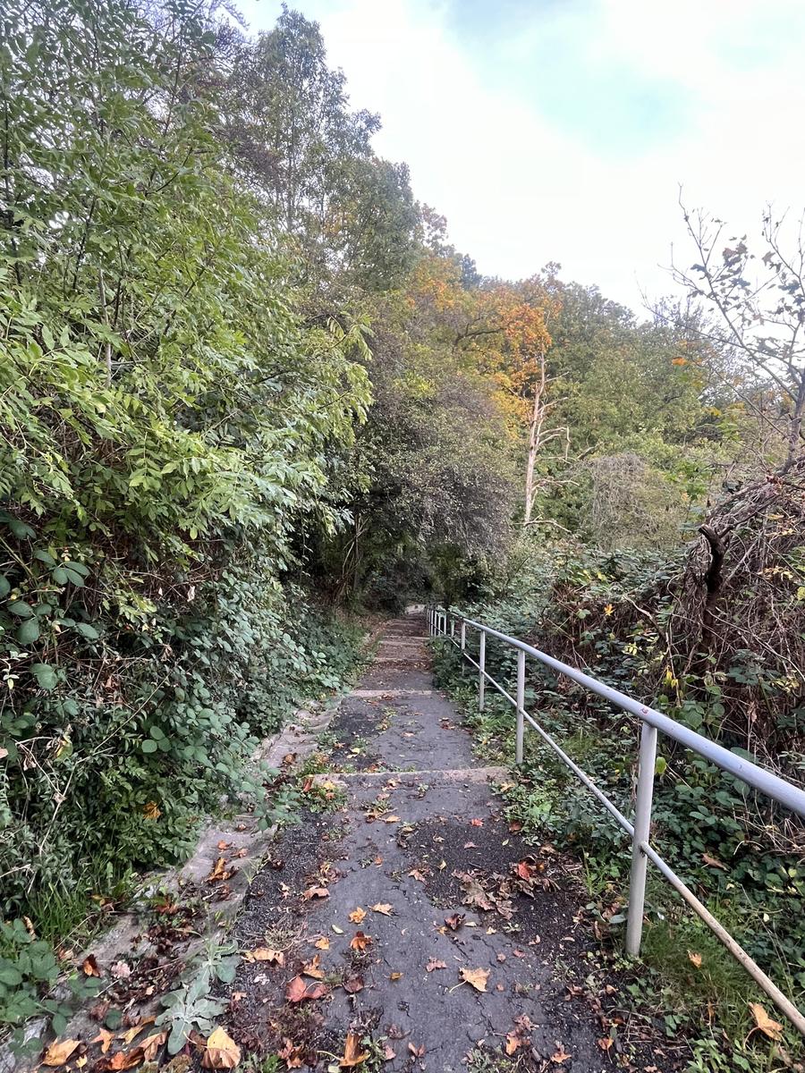 IMG 0310