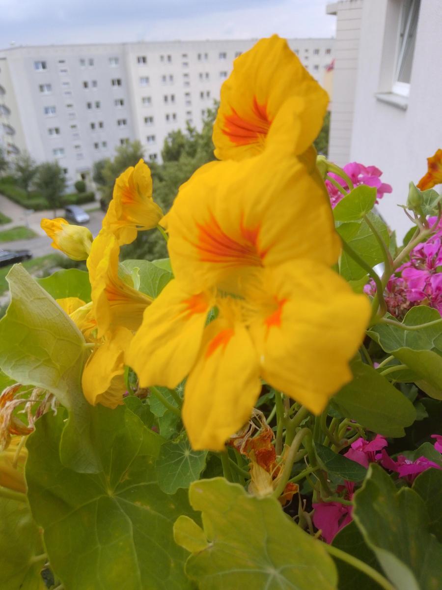 IMG 20210722 134849