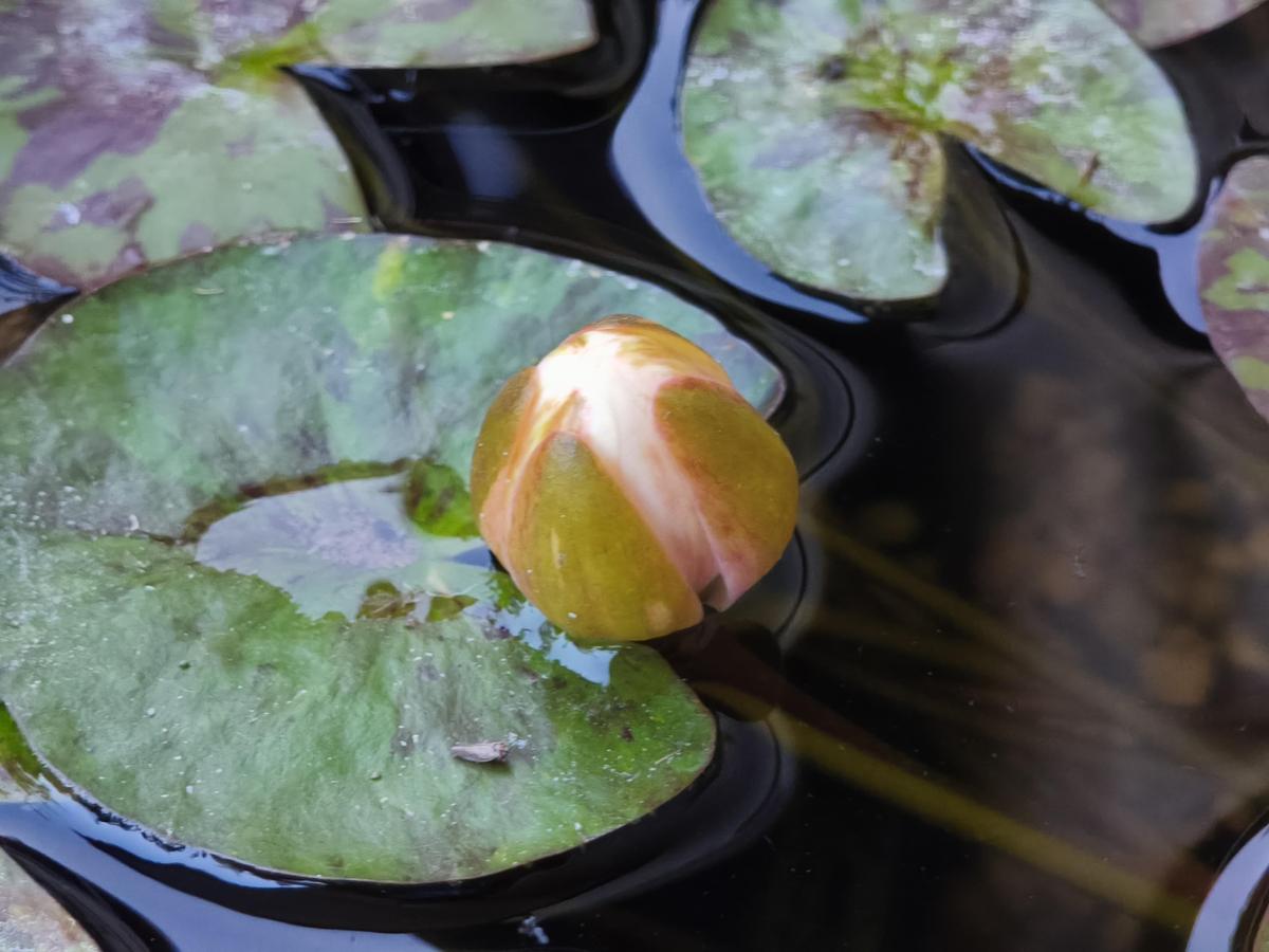 IMG 20260802 204212