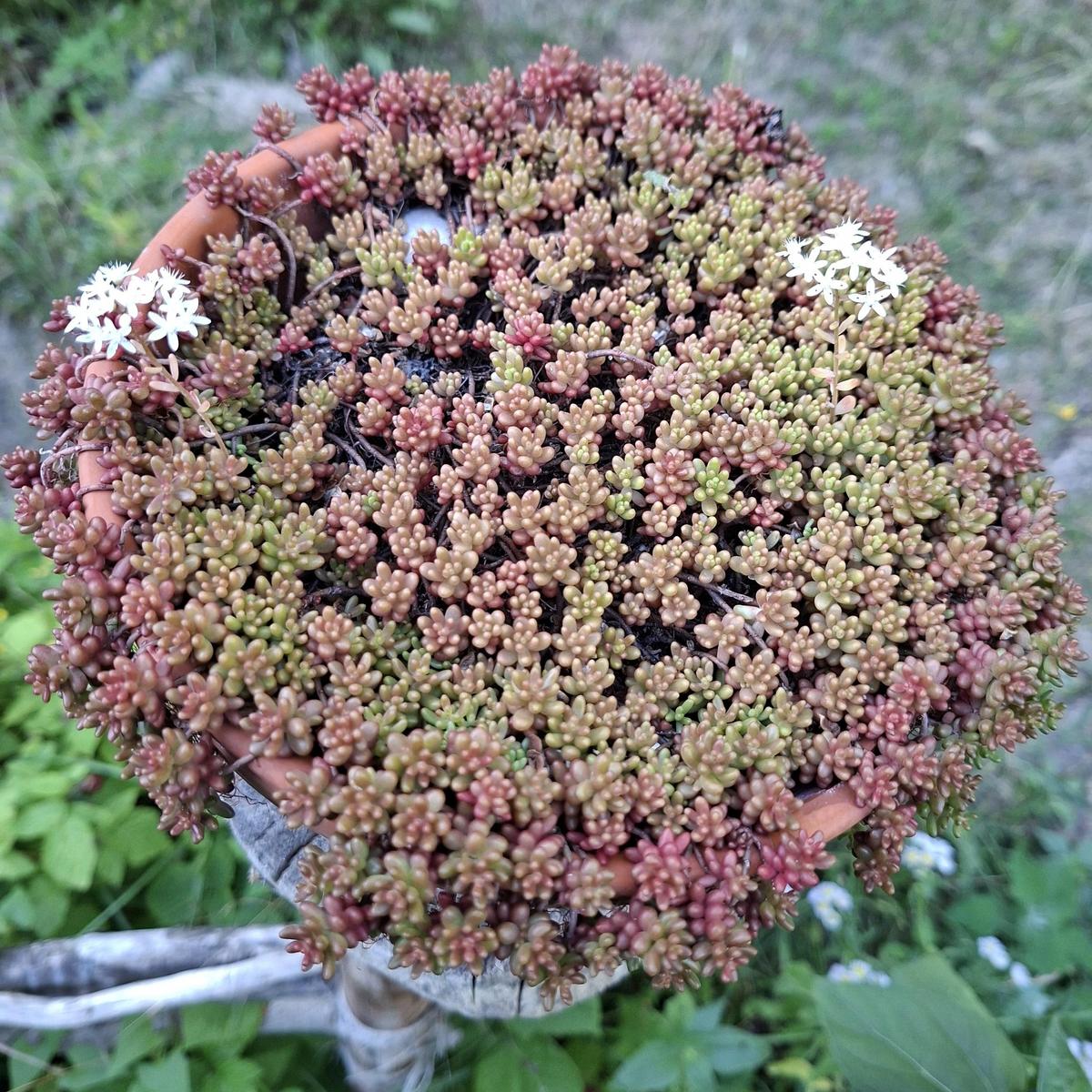 xx01