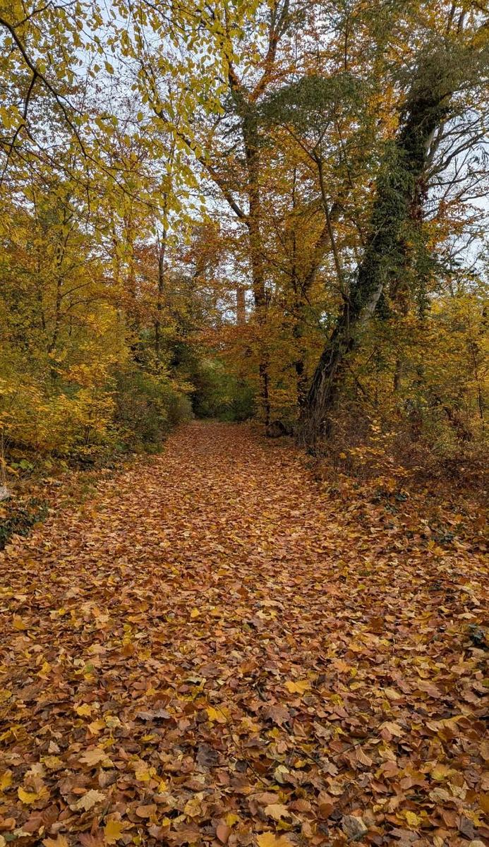 47bf332c-cc6c-4094-ba26-4a0233b94cb1