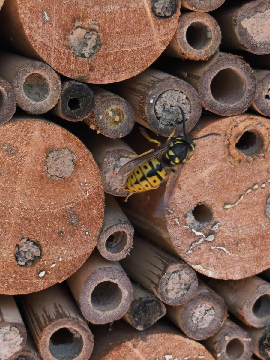 IMG 20260425 120444 1