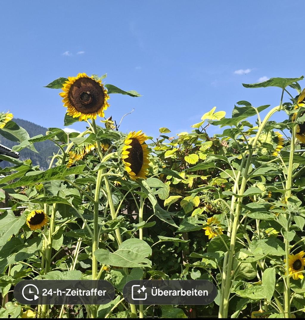 Screenshot 20250821 091522 Gallery