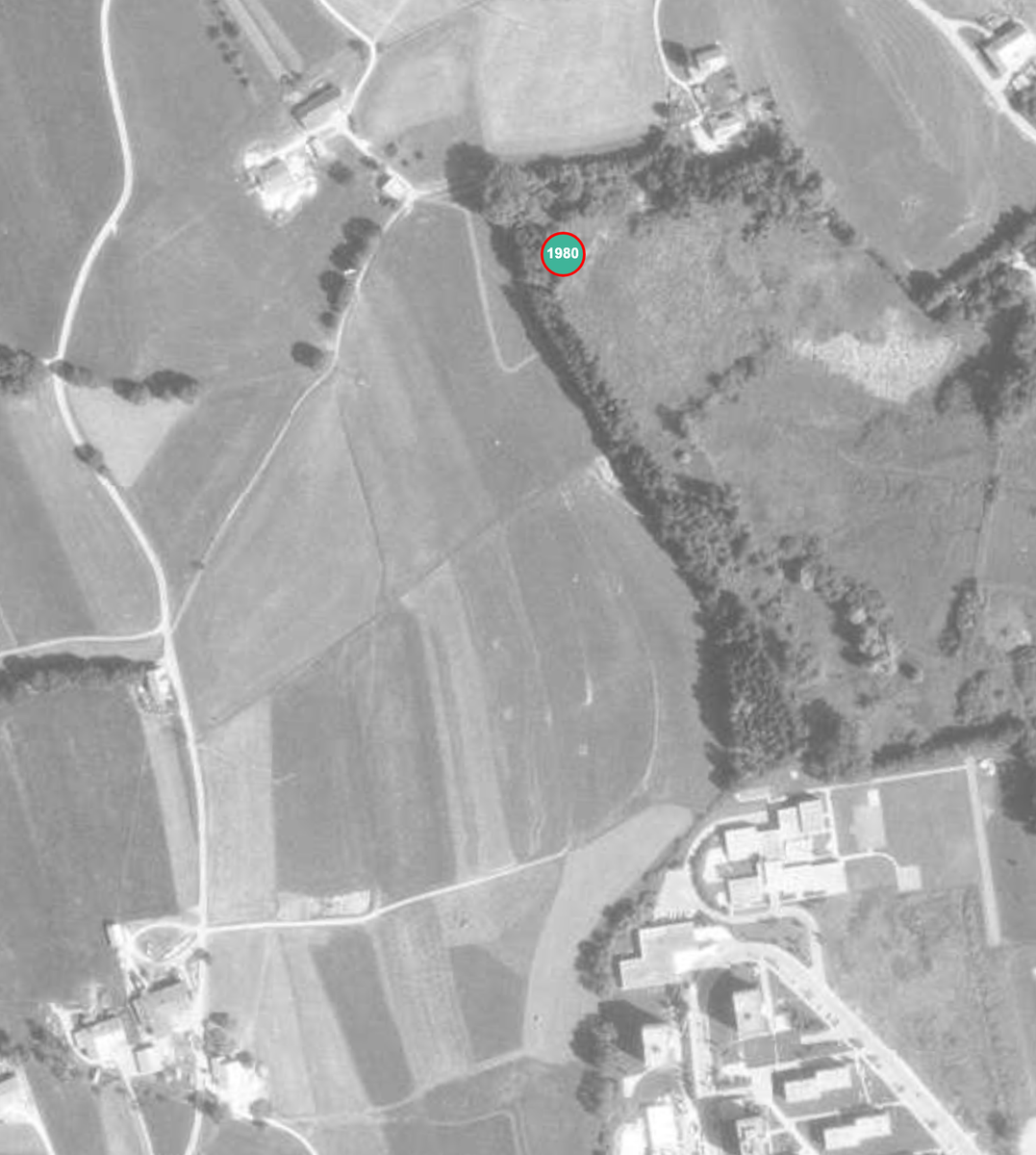 1980