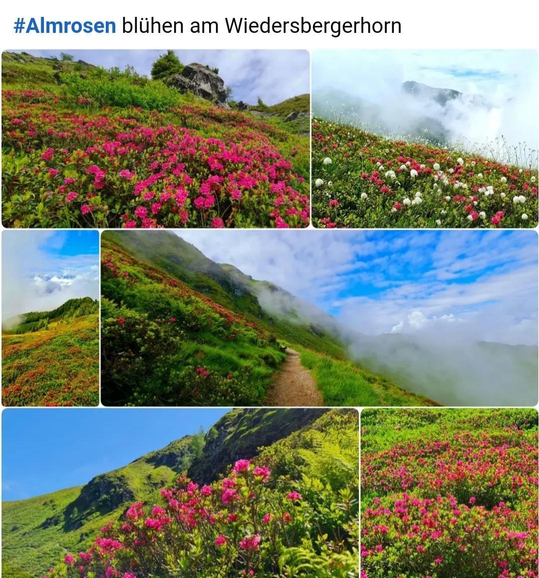 Screenshot 20240623-085341 Gallery