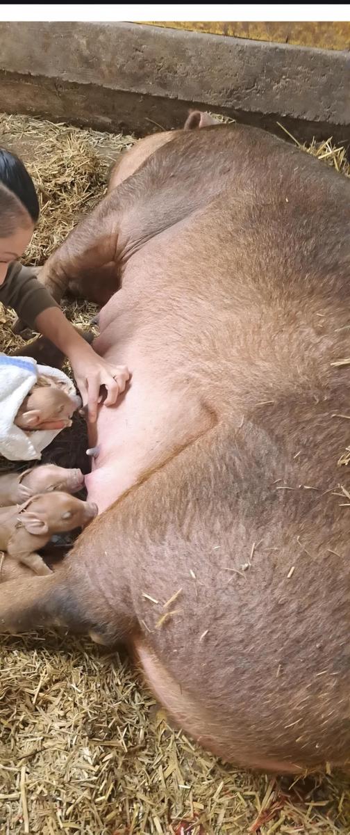 Screenshot 20251207 134038 Chrome