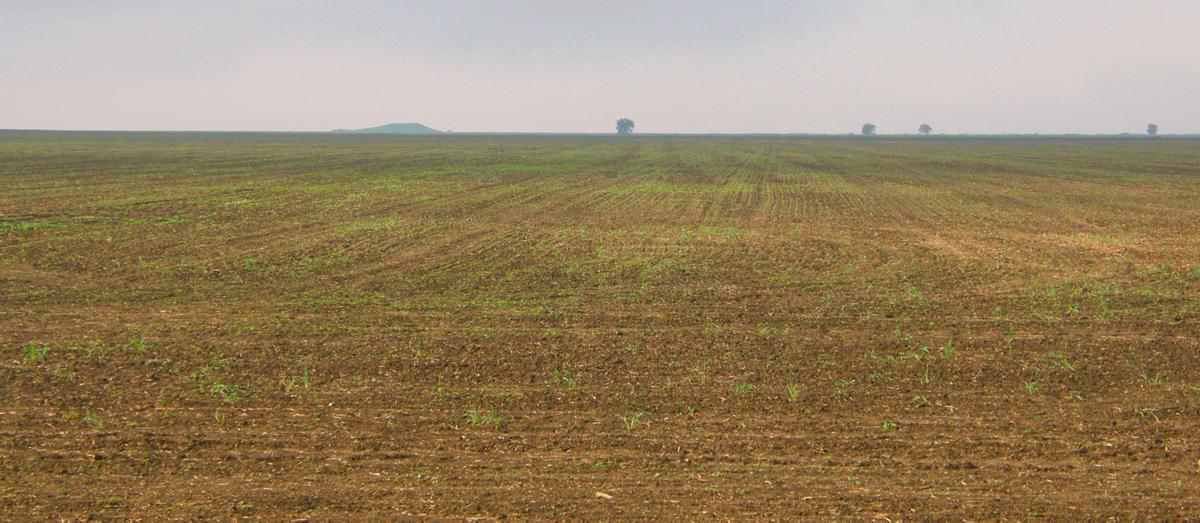 Ukrainian steppe