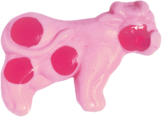 milch-kuh-magenta-einzelstueck-550x398