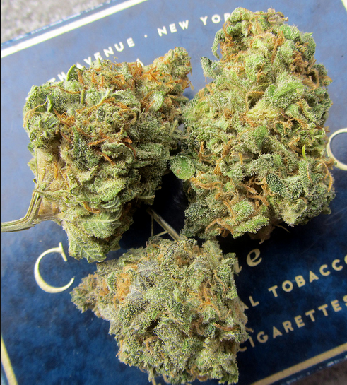 maui-wowie-marijuana-strain-2