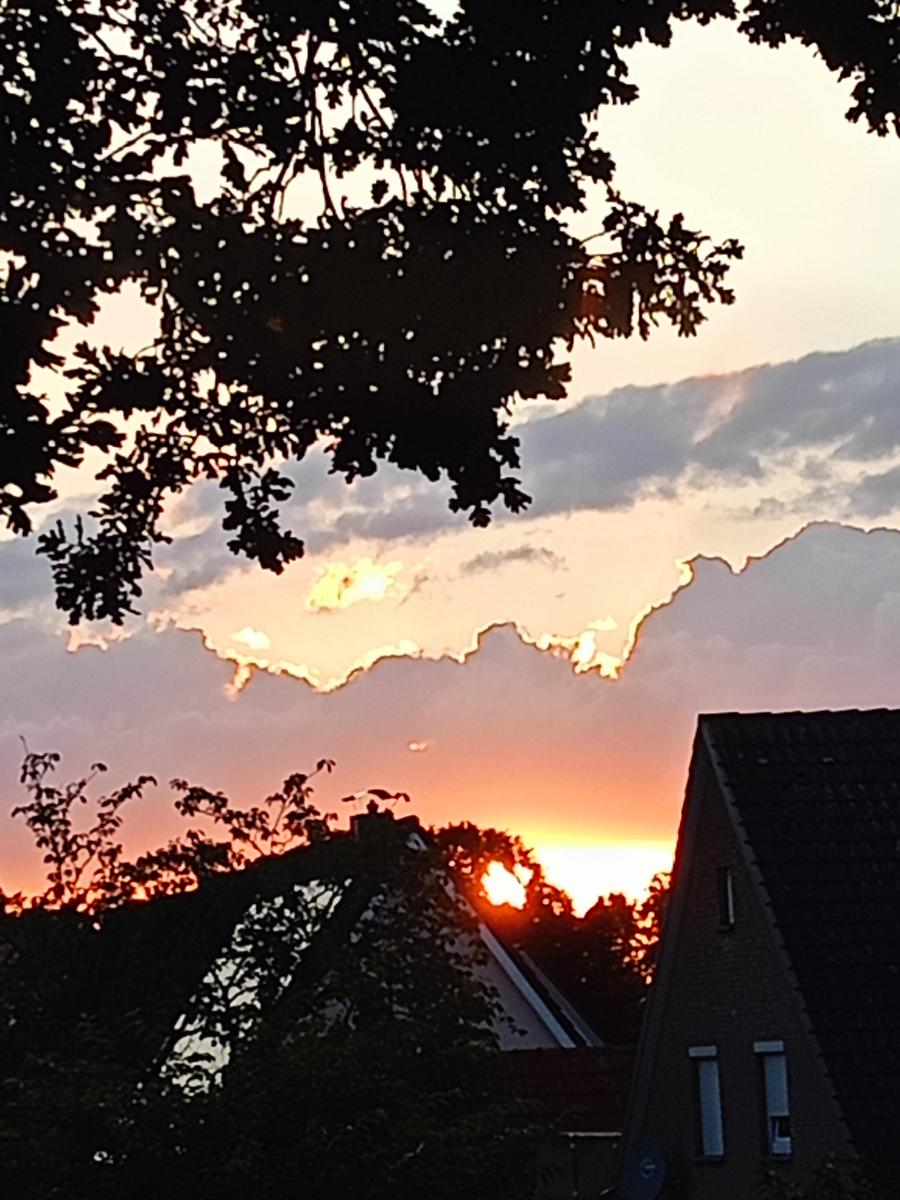 IMG20260801210118