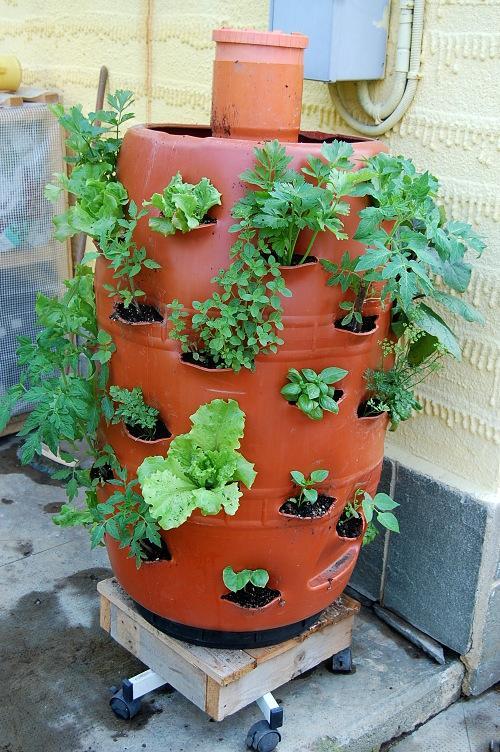 vertical-garden-barrel