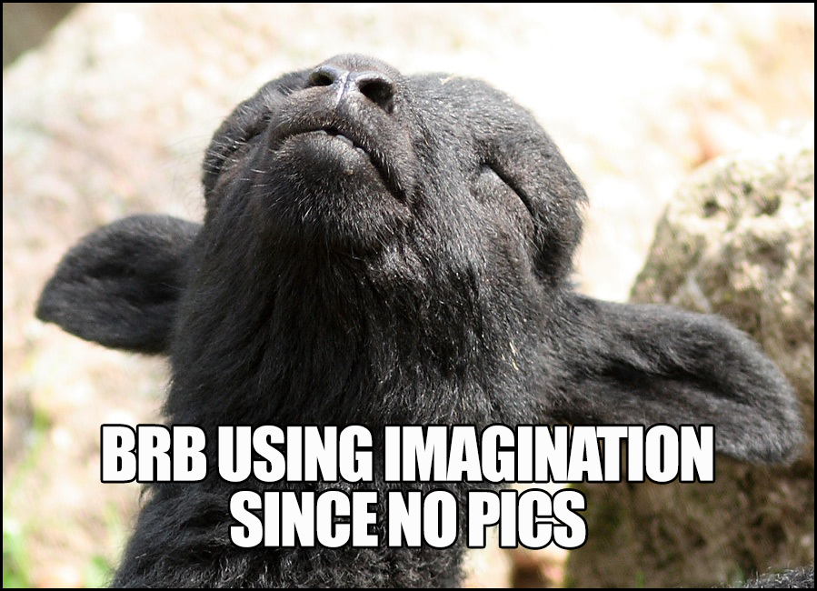 brb using imagination since no pics