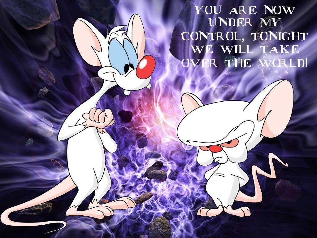 Pinky and the Brain Wallpaper-by Simon H