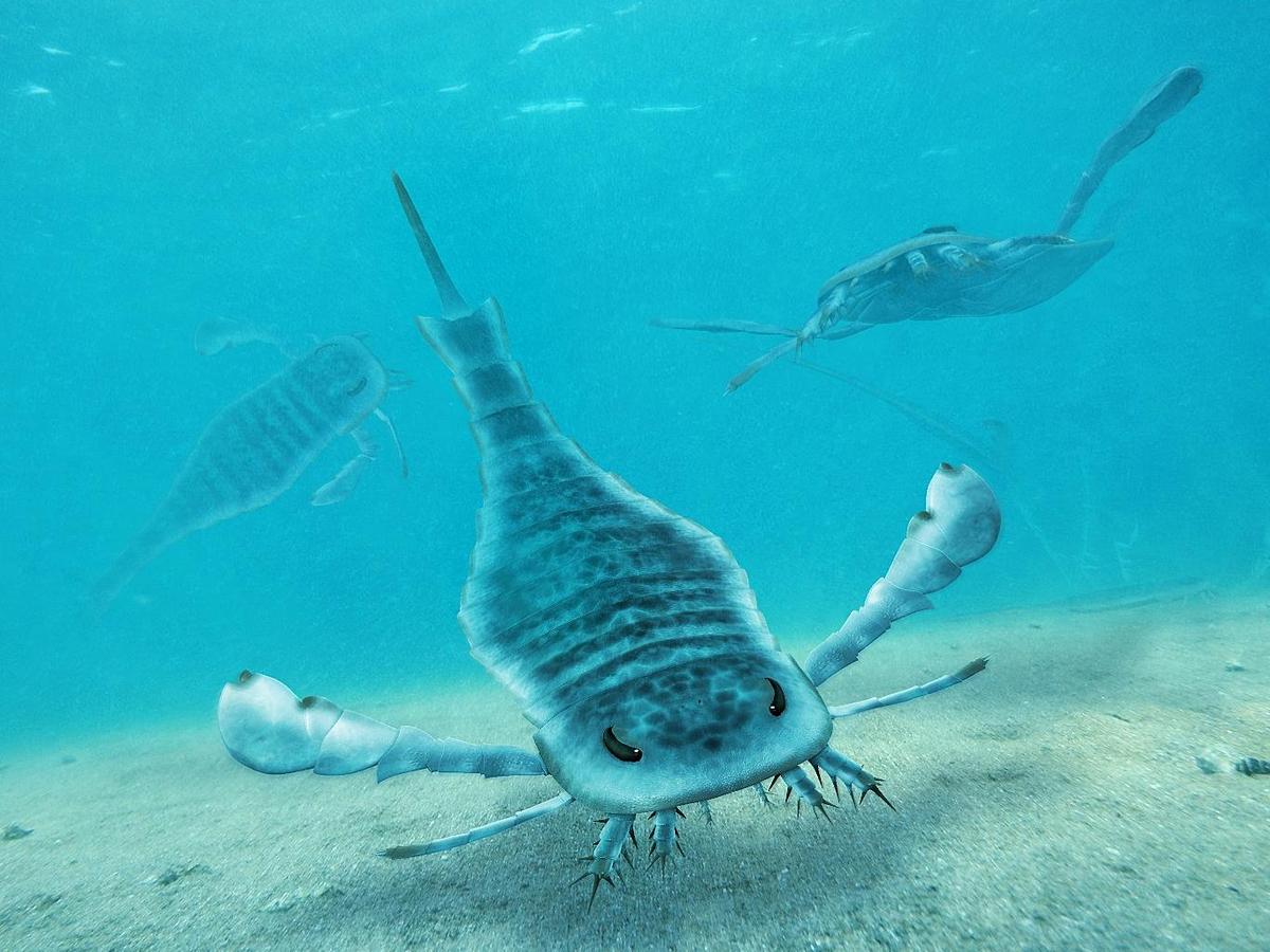 Eurypterus Paleoart