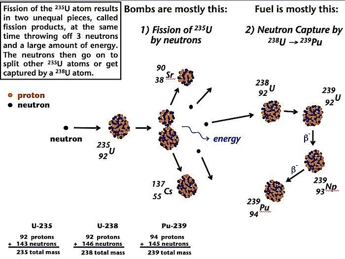 Nucler-Reactions