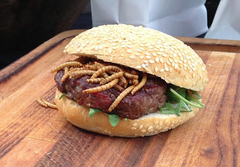 rentokil-pestaurant-burger-insekten-esse