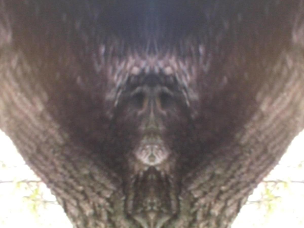 45863c Foto0231J