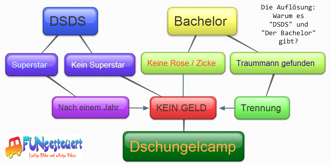 warum es dsds und bachelor gibt - hier d