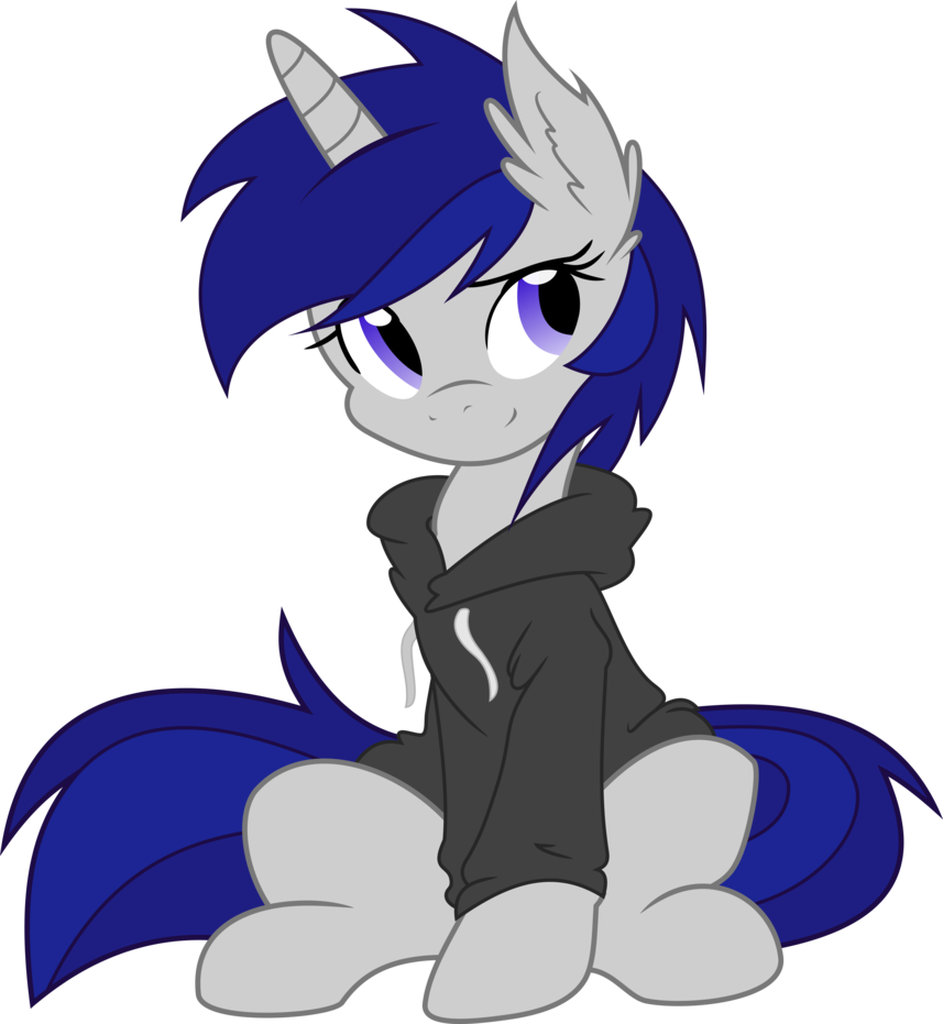 sky in a hoodie    mlp vector  by doctor