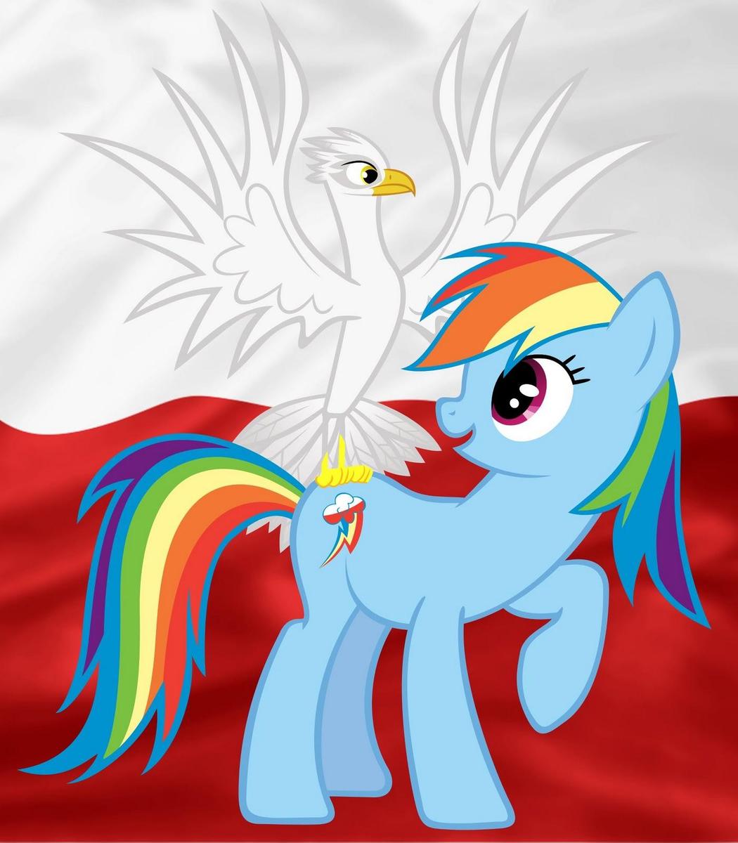 84498-contestpolandpolishrainbow dash