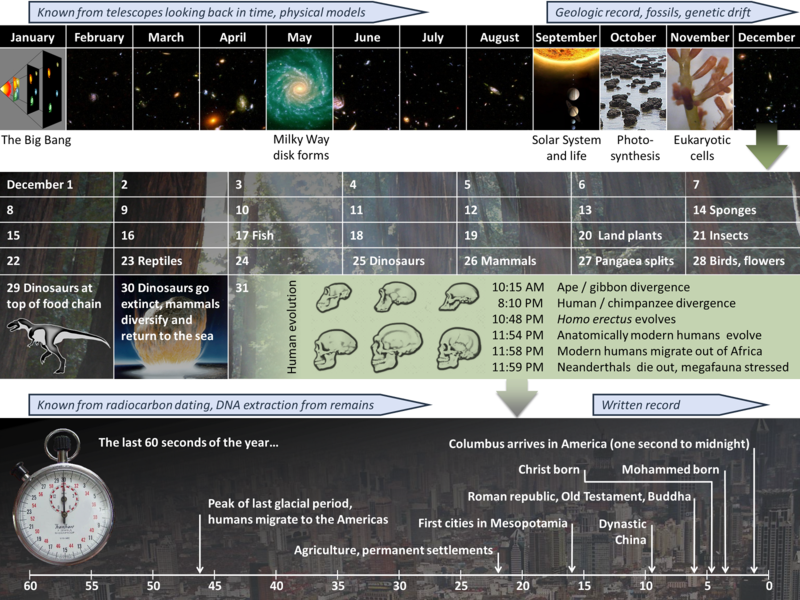 800px Cosmic Calendar