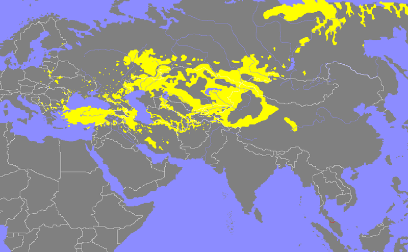 800px-Verbreitungsgebiet der TurkvC3B6lk