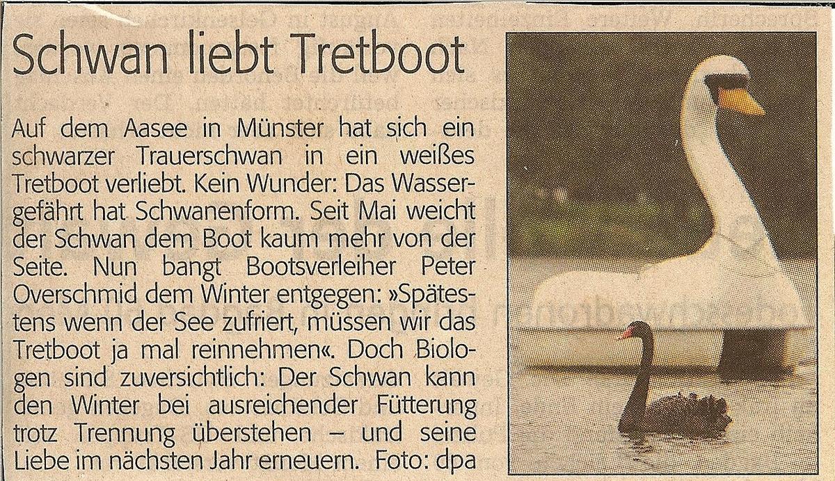 tbd7584 Schwan-liebt-Tretboot