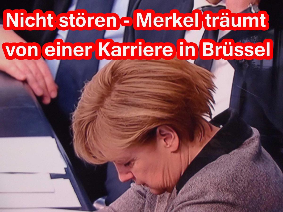 merkel traum